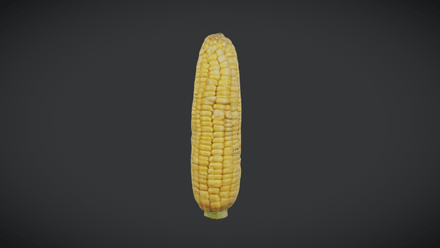 Corn Cob - low poly PBR 3d model