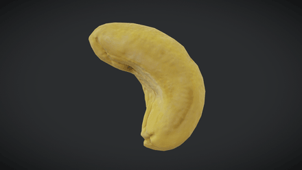 Cashew - low poly PBR 3d model