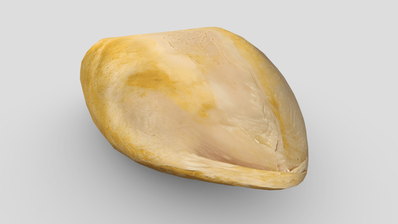 CC0 - Cooked Chicken Breast 2 - low poly PBR 3d model