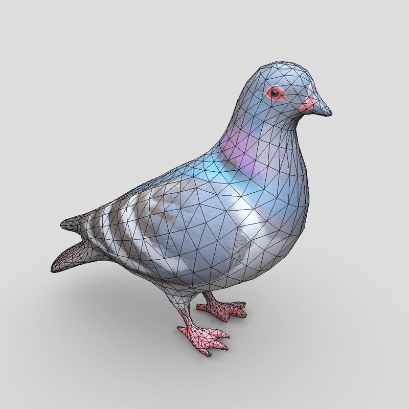 Standing Bird Pigeon - low poly PBR 3d model