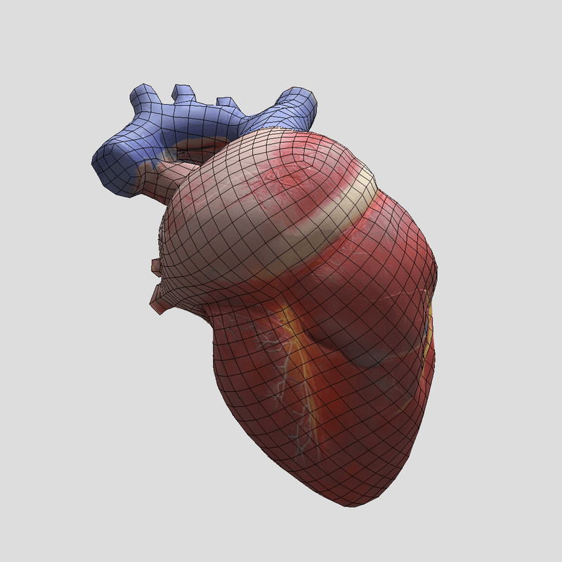 Human Heart - low poly PBR 3d model