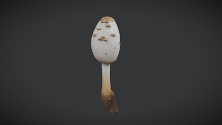 Parasol - low poly PBR 3d model