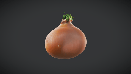 Onion - low poly PBR 3d model