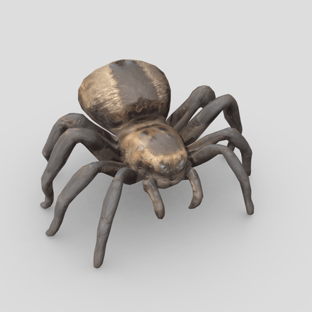 Tarantula - low poly PBR 3d model