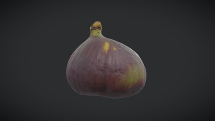 Fig - low poly PBR 3d model