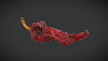 Dried Chili Pepper - low poly PBR 3d model