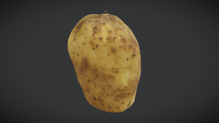 Potato 2 - low poly PBR 3d model