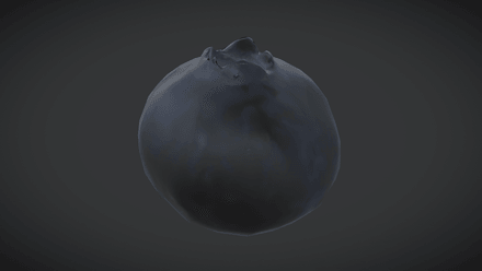 Blueberry - low poly PBR 3d model