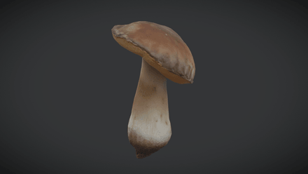 Boletus - low poly PBR 3d model