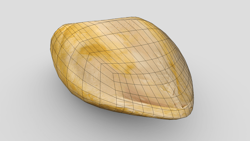 CC0 - Cooked Chicken Breast 2 - low poly PBR 3d model