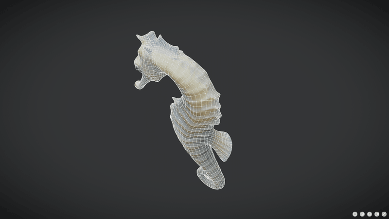 Seahorse - low poly PBR 3d model