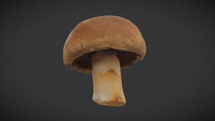 Brown Button Mushroom - low poly PBR 3d model