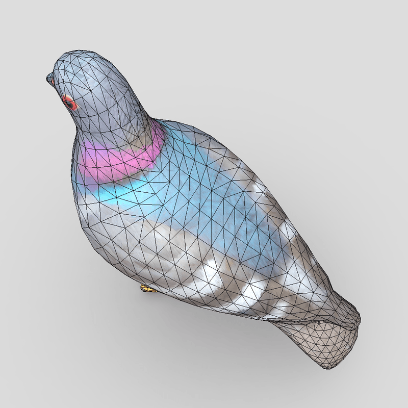 Standing Bird Pigeon - low poly PBR 3d model