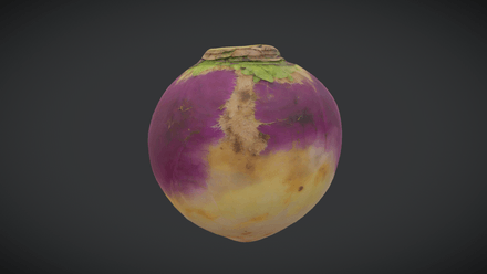 Turnip 2 - low poly PBR 3d model
