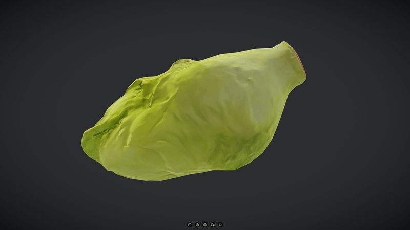 Lettuce - low poly PBR 3d model