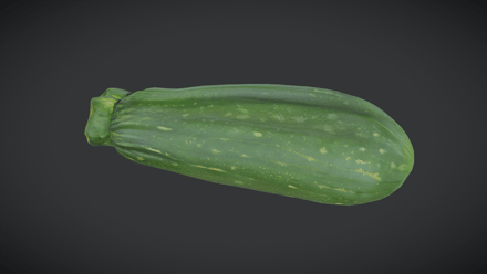 Zucchini - low poly PBR 3d model