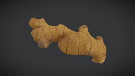 Ginger - low poly PBR 3d model
