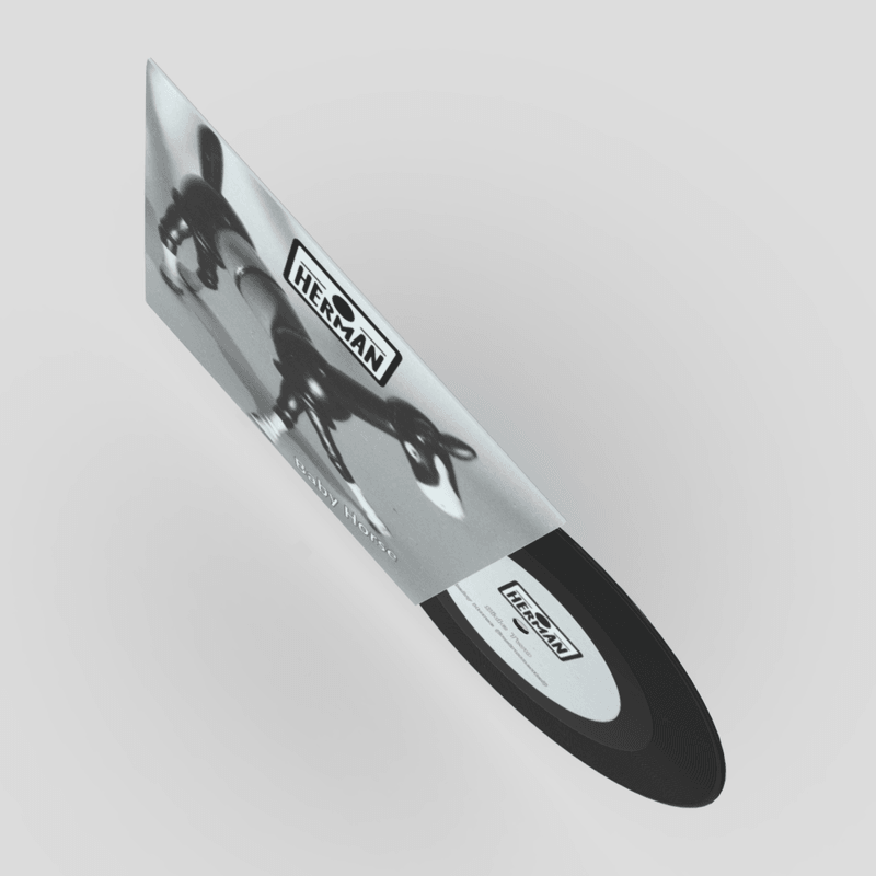 7 inch Vinyl Record Herman - low poly PBR 3d model