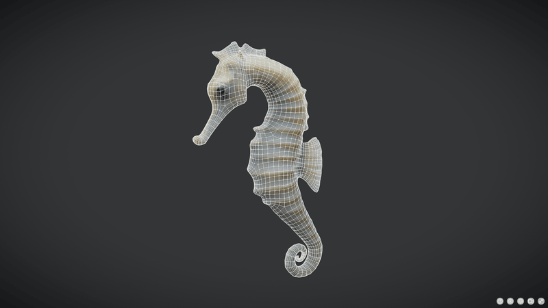 Seahorse - low poly PBR 3d model