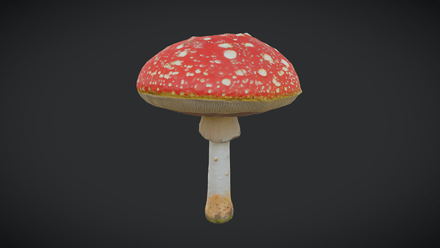 Fly Agaric 2 - low poly PBR 3d model