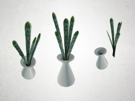 Plant - 3D Model