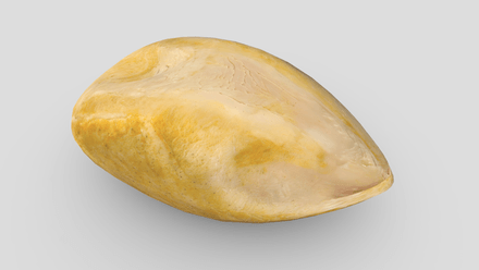 CC0 - Cooked Chicken Breast 2 - low poly PBR 3d model