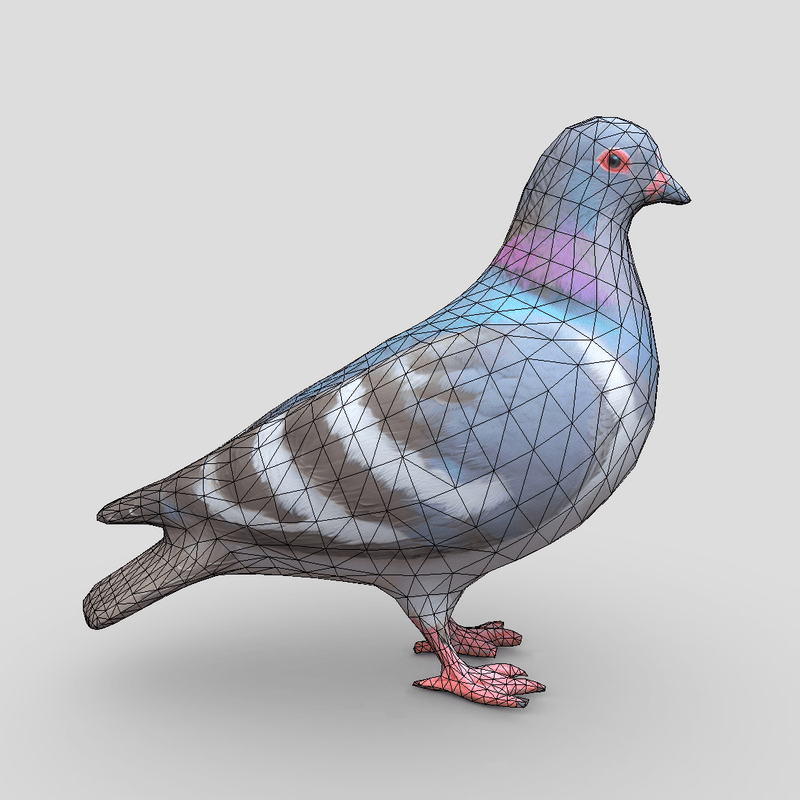 Standing Bird Pigeon - low poly PBR 3d model