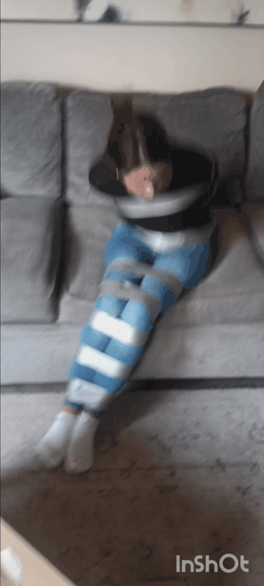 Megan Tightly Taped 