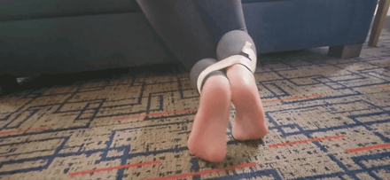 Jayme The Socks Theif 