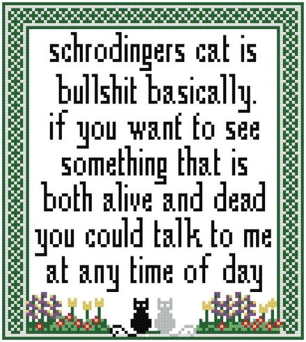 Schrodinger&#x27;s Cat