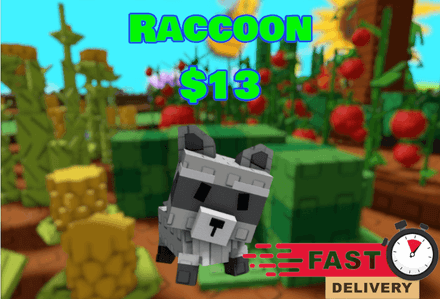 Raccoon