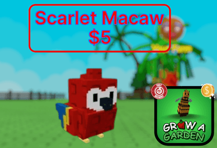 Scarlet Macaw