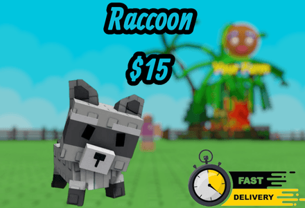 Raccoon