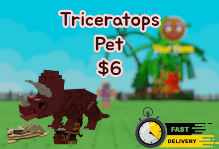 Triceratops Pet