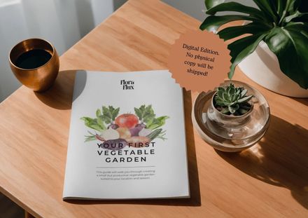 Your First Vegetable Garden