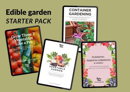 Edible garden starter pack