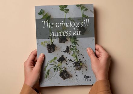 The windowsill success kit