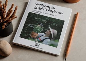 Gardening for Absolute Beginners