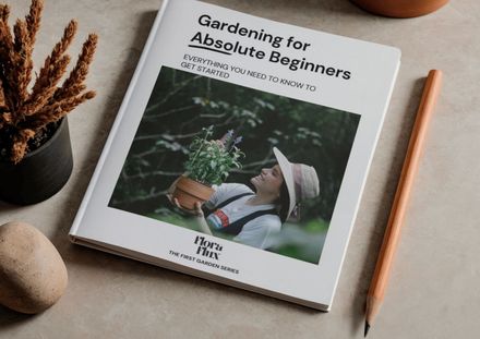 Gardening for Absolute Beginners