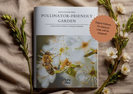 Pollinator-Friendly Garden