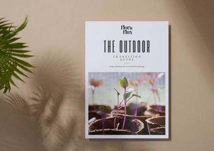 The Outdoor Transition Guide