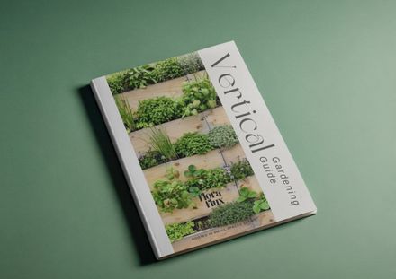 Vertical Gardening: DIY Systems That Actually Work