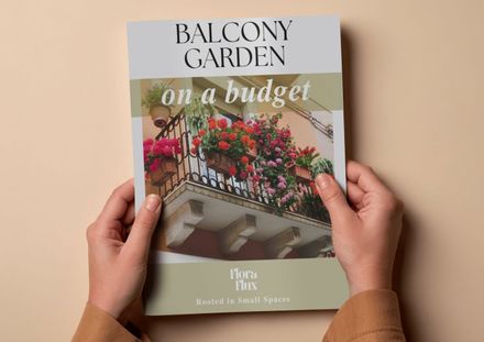 Balcony garden on a budget