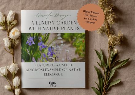 Luxurious garden with UK native plants