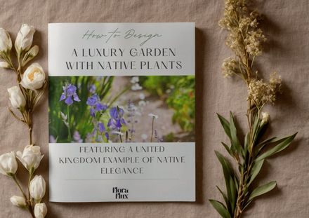Luxurious garden with UK native plants
