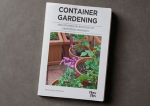 Container Gardening for City Dwellers