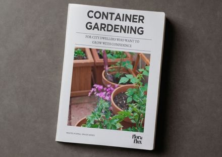 Container Gardening for City Dwellers