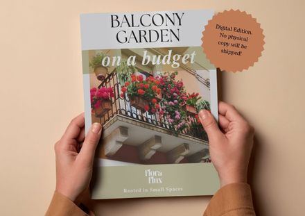 Balcony garden on a budget