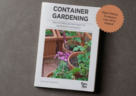 Container Gardening for City Dwellers