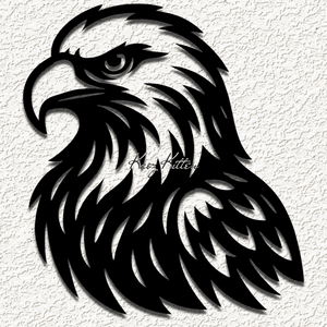 american bald eagle